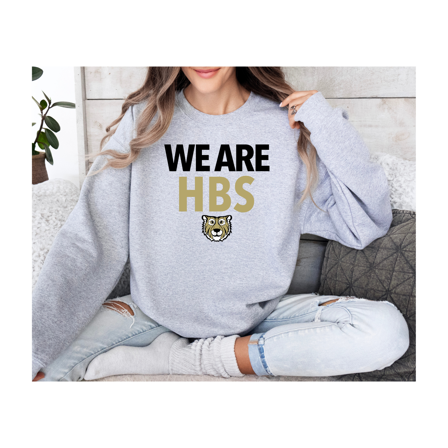 We Are HBS