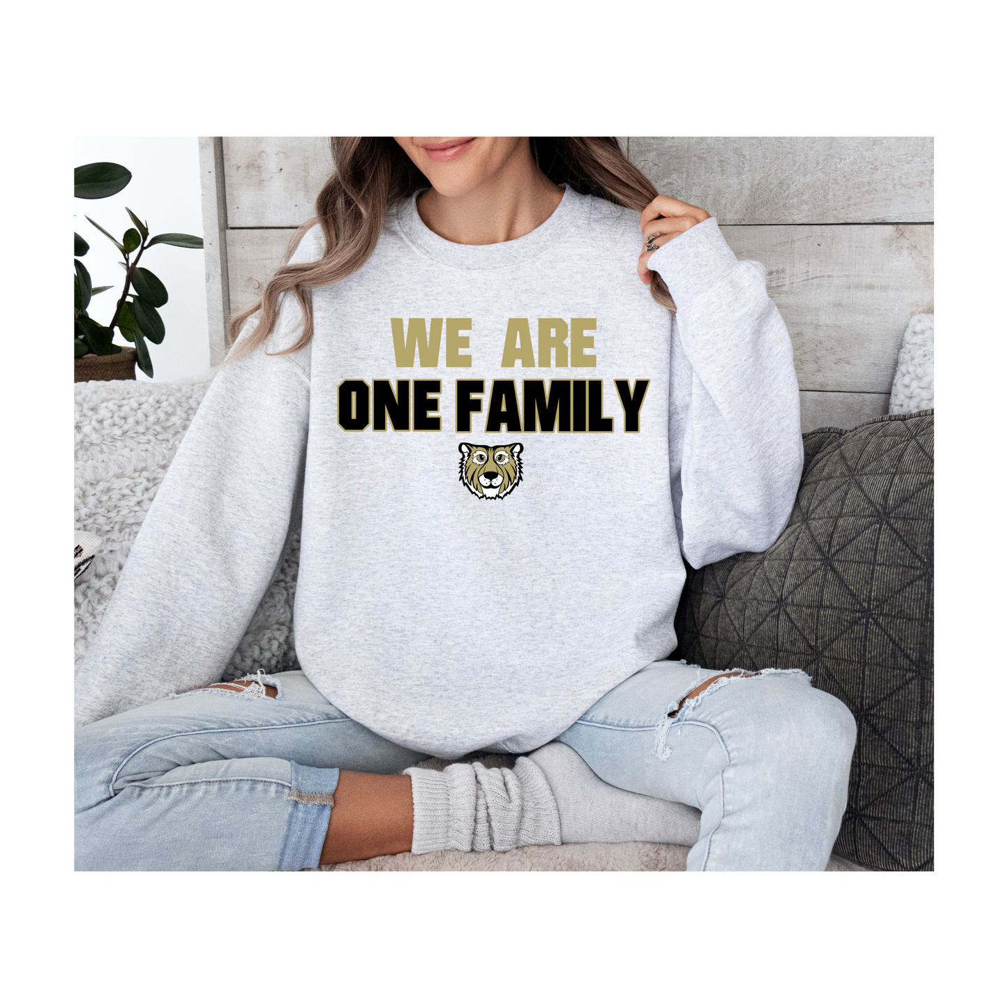 We Are One Family (Cubs)