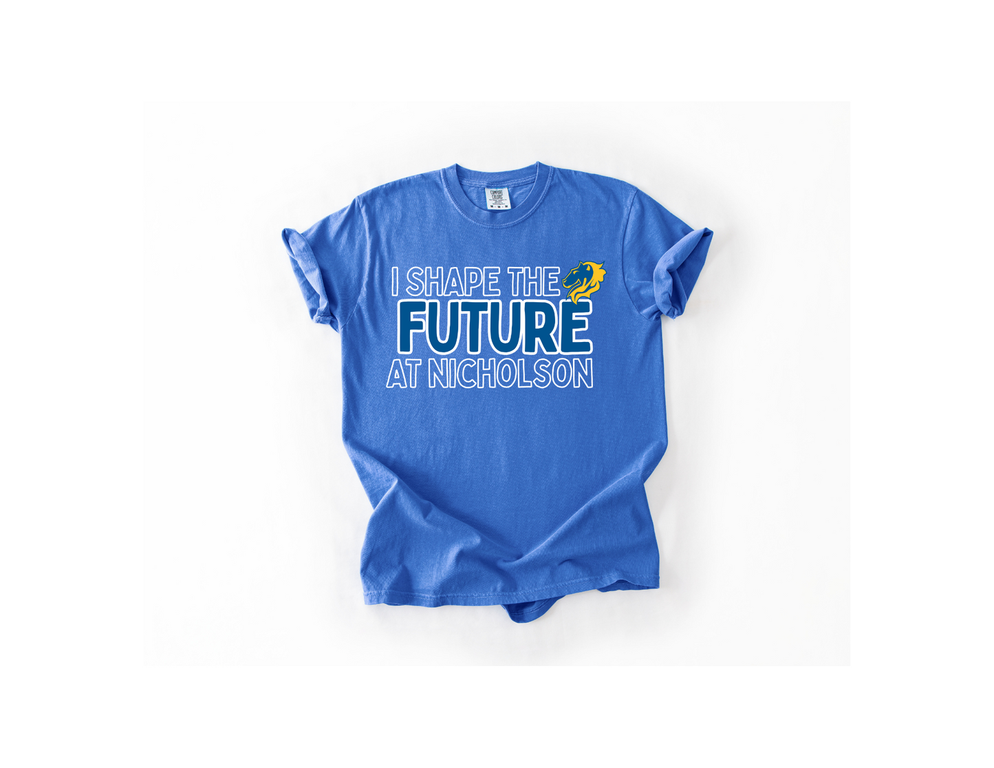 I Shape The Future (Nicholson)