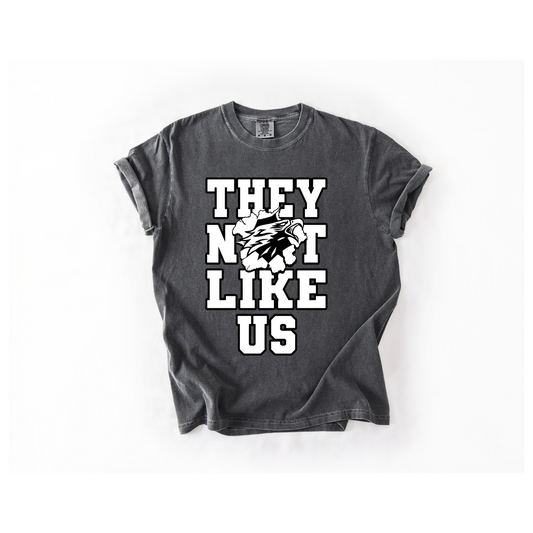 They Not Like Us (Falcons)