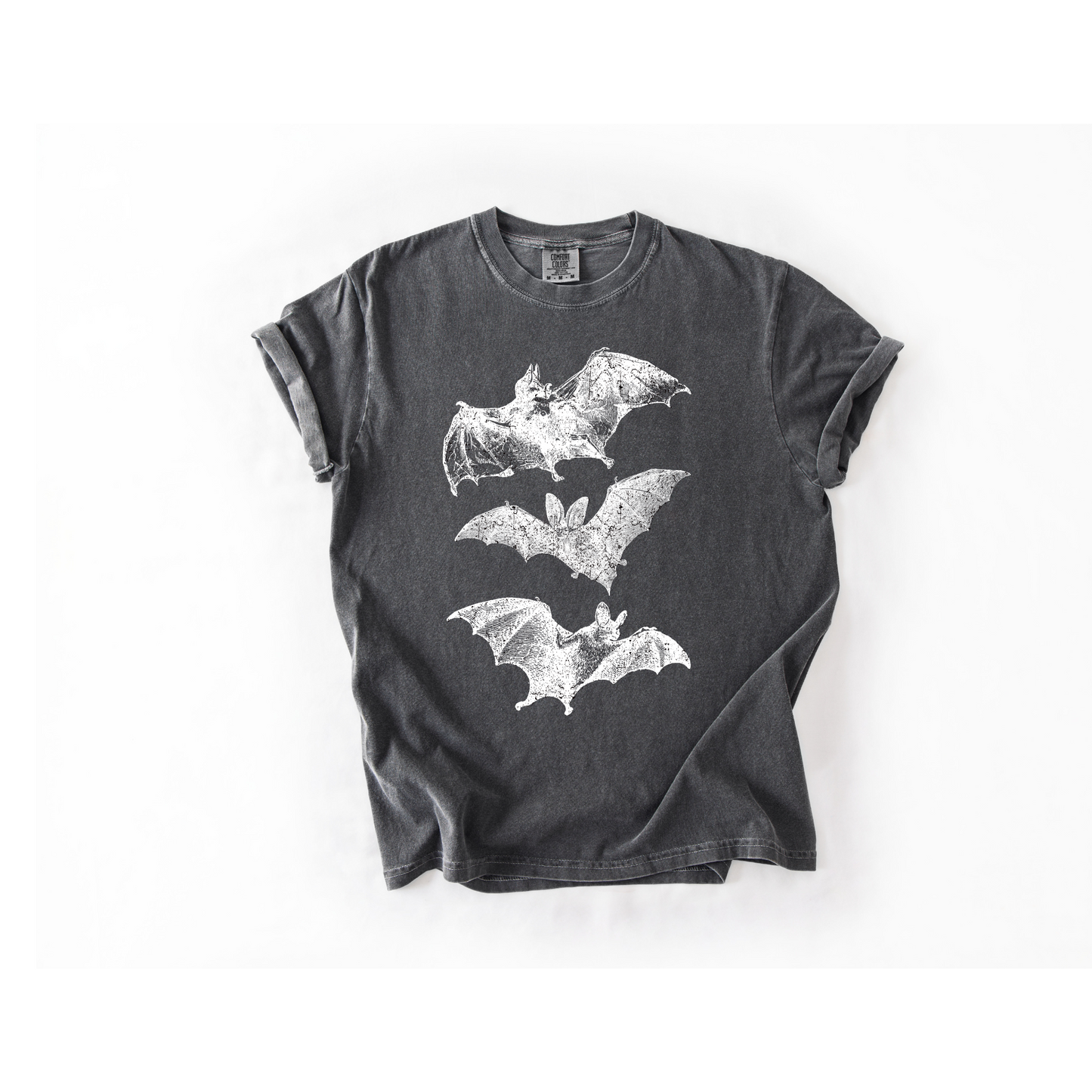 Bats