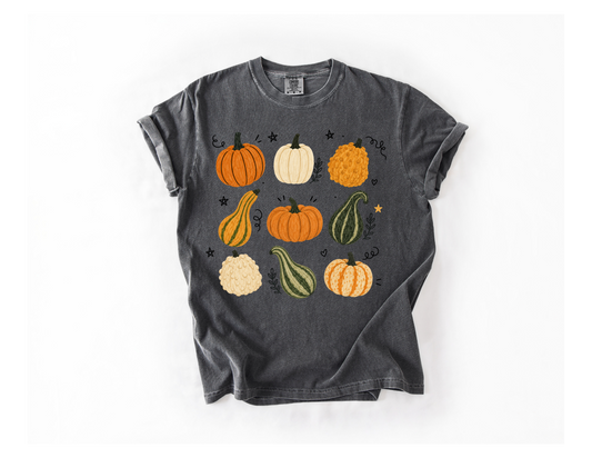 Pumpkins & Gourds, Oh My!