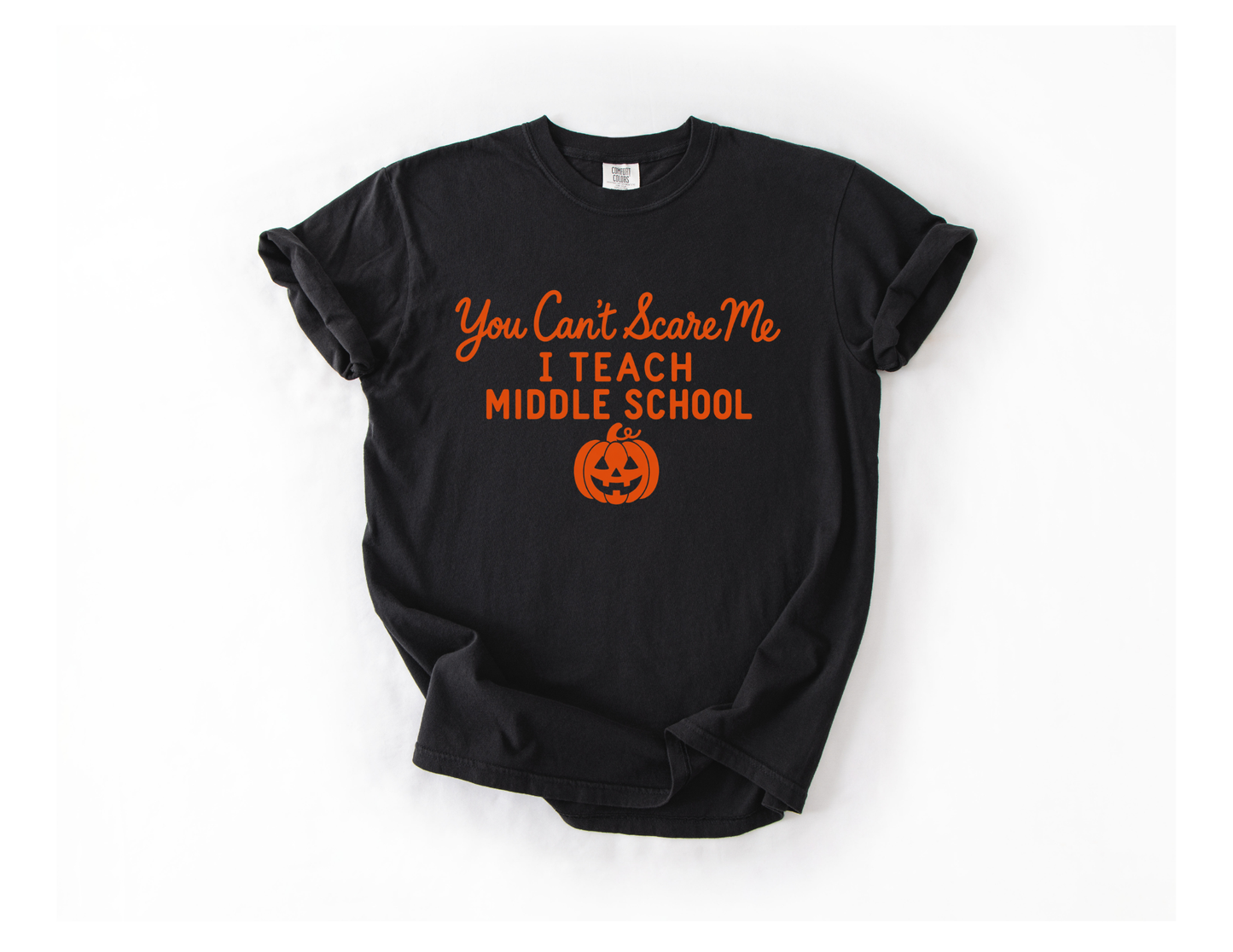 You Can't Scare Me, I Teach Middle School
